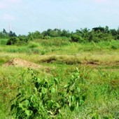 Bán gấp lô đất sào đẹp gần đường nhựa chỉ 430tr tại Tây Ninh