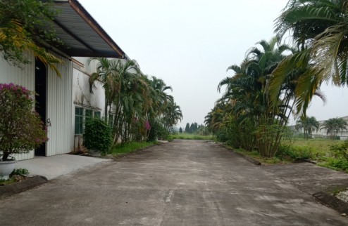 Bán 2ha đất công nghiệp mặt đường 39A Kim Động, Hưng Yên. Sẵn 3000m2 nhà xưởng