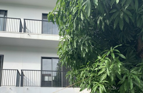 Chính chủ cho thuê biệt thự liền kề dự án Eden Rose, Hà Nội. Nhà 3 tâng, hoàn thiện thô.
