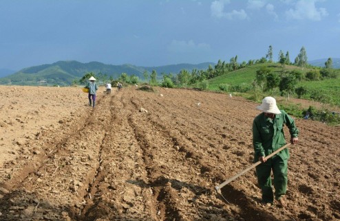 BÁN GẤP 2 LÔ 21.5X150M =2960M2 ĐẤT VƯỜN, ĐƯỜNG Ô TÔ VÀO TẬN NƠI