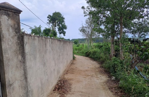 Bán Đất Thôn 7 Xã Đắk La, Huyện Đắk Hà, Tỉnh Kon Tum.