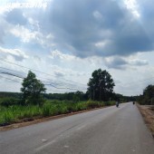 Hơn 3,5 công đất vườn giá NGỘP chỉ 280TR/sào ở Tây Ninh
