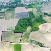 Cần bán 5700m2 đất trồng cây quy hoạch đất ở thuộc thôn Xóm Mới, xã Ninh Tây, Ninh Hoà