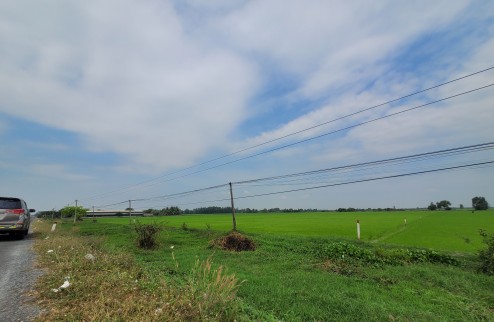 Đất nông nghiệp Tây Ninh 19110m2 - Sổ hồng, vị trí đẹp, tiềm năng phát triển
