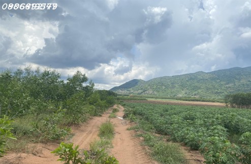 Cần bán nhanh miếng đất ở Xuân Lộc, Đồng Nai