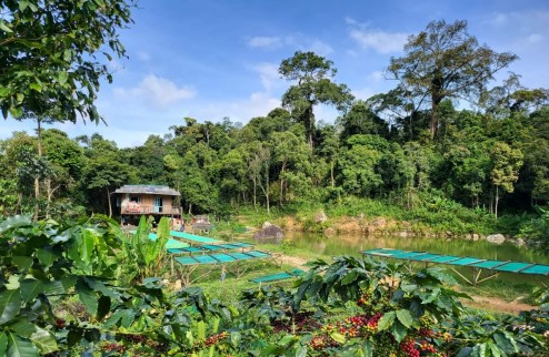 Đất sào sổ hồng riêng Đồng Nai - Đầu tư an toàn và bảo đảm cho tương lai, chỉ với 233 triệu/sào