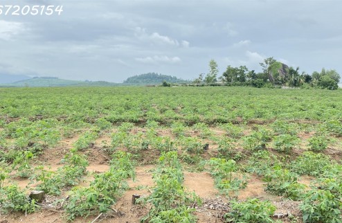 Cần tiền nên cần bán gấp hơn 6.2 sào đất tại Xuân Lộc Đồng Nai