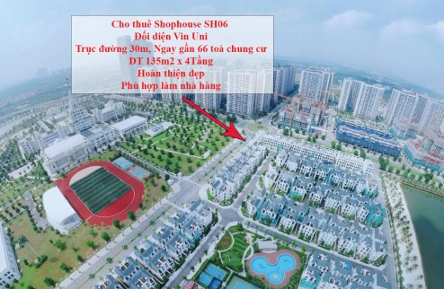 Cho thuê Shophouse đối diện Đại học Vin Uni - Vinhomes Ocean Park Gia Lâm