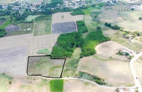 Cần bán 5700m2 đất trồng cây quy hoạch đất ở thuộc thôn Xóm Mới, xã Ninh Tây, Ninh Hoà