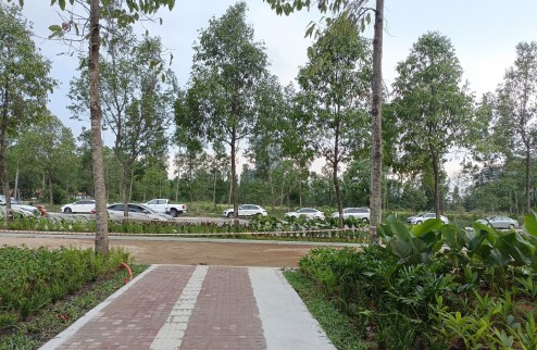 Artisan Park - Nhà Phố trung tâm TP mới BD - giá chỉ 38 triệu/m
