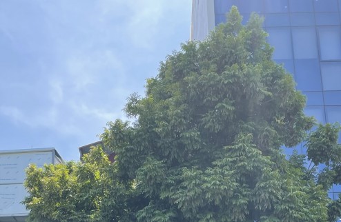 Bán nhà mặt phố Giang Biên, đoạn sầm uất nhất, 52m, MT5m, hơn 5 tỷ