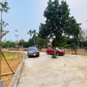 Đất đẹp - Giá rẻ - Chính chủ cần bán nhanh tại Hòa Lạc - Vietinbank định giá 2,113 tỷ nay bán chỉ 1,85 tỷ đi nhanh