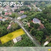 Chính chủ bán 135m2 đất ở thị trấn Hưng Hoá, Tam Nông - Giá 21 triệu/m2, đã có sổ đỏ