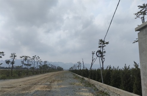 Cần chuyển nhượng 8000m2 đất công nghiệp 50 năm tại Xã Yên Lư, Huyện Yên Dũng, Tỉnh Bắc Giang