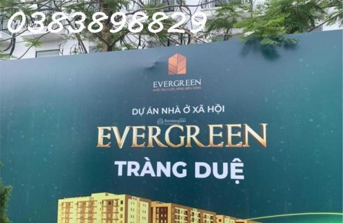 Bán nhà ở xã hội EverGreen Tràng Duệ, An Dương, Hải Phòng - 2 phòng ngủ