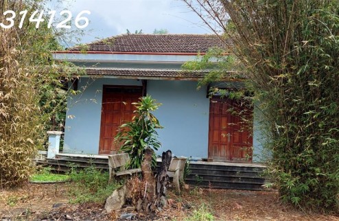 Cho thuê Nhà riêng nguyên căn, vườn rộng, mặt tiền đường Hòn Nghê 2, xã Vĩnh Ngọc, tp Nha Trang