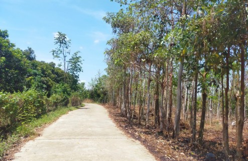 Bán cắt lỗ 1 sào đất 40m mặt tiền bê tông phía sau giáp hồ tại Tân Phú