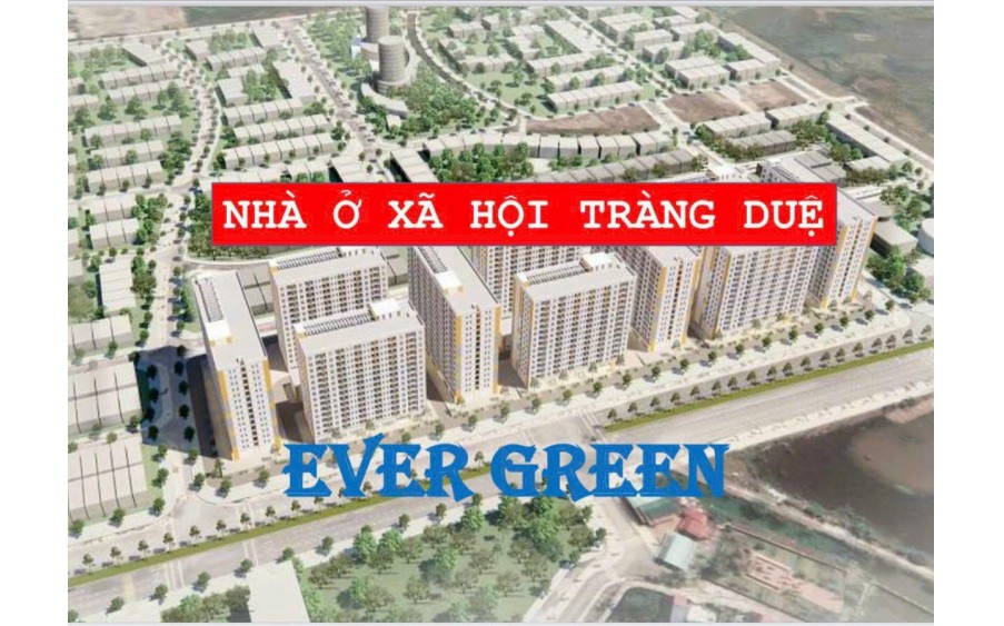 Nhà ở xã hội EverGreen Tràng Duệ gồm 10 tòa nhà cao 15 tầng, 1 tầng hầm với tổng 2538 căn, cơ cấu DT từ 26-55m2