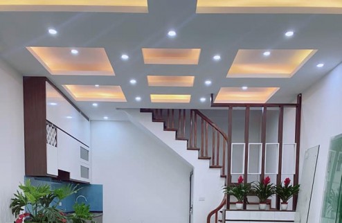 Bán nhà Trần Khát Chân - Lạc Nghiệp - ô tô - 30 m2 - 5T - 4 tỷ 2 - trung tâm Hai Bà Trưng