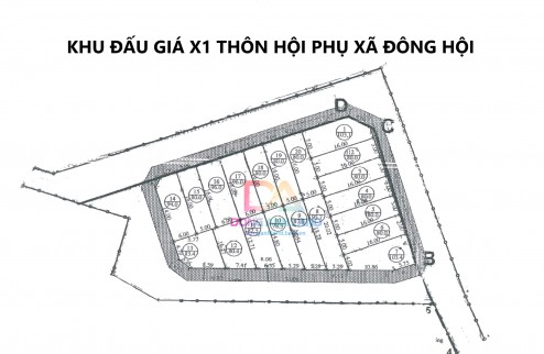 Bán đất đấu giá X1 Hội Phụ Đông Hội Đông Anh , gần dự án Vin Cổ Loa tiềm năng cực lớn