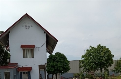 Bán 2,9ha đất kho nhà xưởng 50 năm tại xã Trung Hưng, Huyện  Yên Mỹ, Tỉnh Hưng Yên