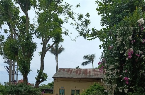 Bán 2,9ha đất kho nhà xưởng 50 năm tại xã Trung Hưng, Huyện  Yên Mỹ, Tỉnh Hưng Yên