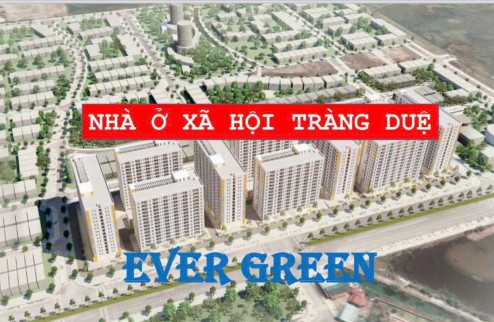 1 KĐT hiện đại và đồng bộ. sản phẩm mới được mang tên “ EVERGREEN TRÀNG DUỆ” AN DƯƠNG – HẢI PHÒNG.