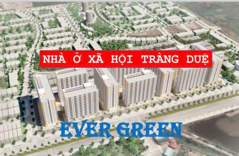 NOXH  EverGreen Tràng Duệ, An Dương, Hải Phòng với tổng 2538 căn, cơ cấu DT từ 26-55m2