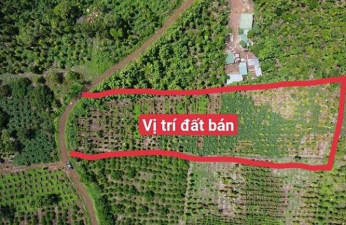 Nhà đẹp lô góc hẻm lớn Ung Văn Khiêm (vị trí gần khu biệt thự Tạ Quang Bửu, tp Pleiku, Gia Lai.