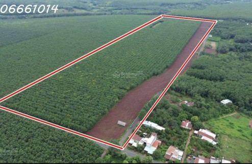 Cần bán 220m2 đất mặt tiền đường liên xã, Phước An, Hớn Quản, Bình Phước