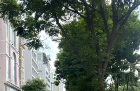 Mặt bằng KD Phạm Ngũ Lão, phố Tây Q1, 4 tầng, thuê 80tr/tháng, giá 80 tỉ
