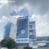 Bán nhà Nguyễn Văn Cừ, Quận 1, 8PN, dài 17m, giá 8,6 tỉ