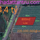 Bán gấp lô đất lúa chuyển thổ mặt tiền Đường Nguyễn Hoàng Anh giá 4,4 tỷ