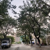 Bán hai lô liền kề đất mặt tiền đường Nguyễn Hàng Chi, Phường Hòa Hiệp Nam, Quận Liên Chiểu.