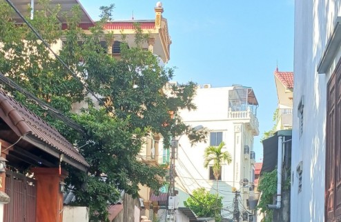 Bán nhà phố Giang Biên, đường ô tô tải, ngõ thông 2 đầu, đầy đủ nội thất, giá 3,95 tỷ