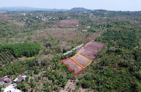 Nhà còn 1 lô đất nở hậu Bố cho ở Hàng Gòn, Long Khánh - 1102,9m2 đang cần bán gấp