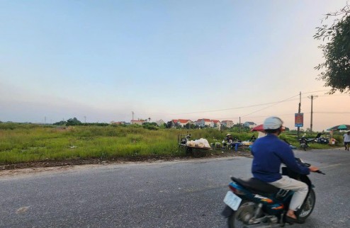 Bán đất mặt đường 196 Xã Đại Đồng, Văn Lâm, Hưng Yên