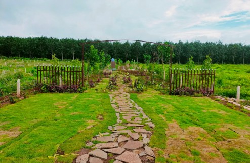 Bán đất nhà vườn sổ sẵn diện tích 10x100m view Hồ Trị An giá 1,4 triệu/m2