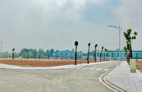 Ra mắt dự án đô thọ Việt Trì Spring City - Phú Thọ. Giá bán chỉ từ 19 triệu/m2. Sổ đỏ trao tay.