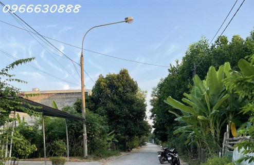 Bán đất Phân Lô Tổ 8 phường Nông Tiến full thổ cư diện tích 5 x 20 hạ tầng đầy đủ chỉ việc xây nhà