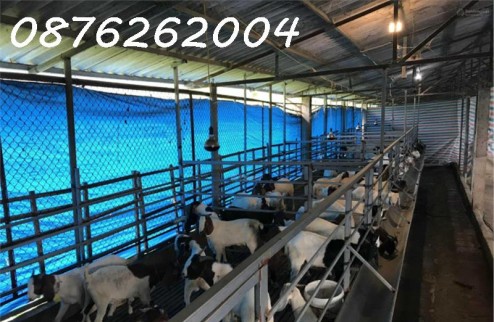 Chính chủ cần bán đất trang trại, khu nghỉ dưỡng 70.000m2 tại Lạc Thủy, Hòa Bình - Giá 1X tỷ