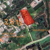 Bán lô đất thổ vườn gần Quốc Lộ 50B giá 2,5 tỷ