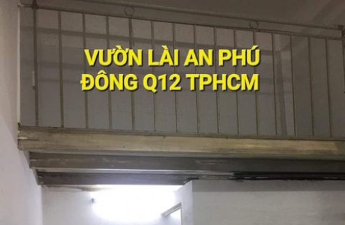 Bán CHDV 262m2 16 Phòng Vườn Lài An Phú Đông Quận 12 TPHCM
