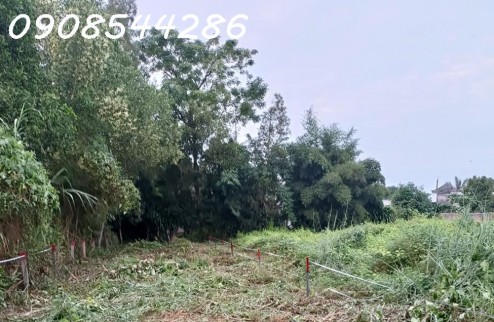 Chính chủ cần bán nền đất full thổ cư tại xã Phú Điền, Tân Phú, Đồng Nai