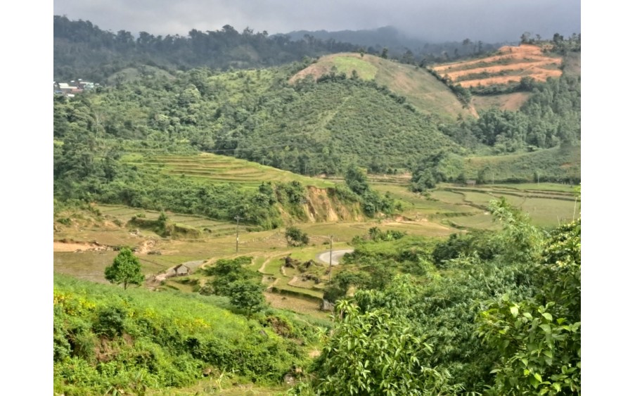 Bán ĐẤT MĂNG CÀNH - MĂNG ĐEN THÍCH HỢP MỌI LOẠI HÌNH SIÊU RẺ