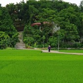 Bán Mảnh đất Vườn ở Đại Lai 1, Phú Xuân, Tp.Thái Bình