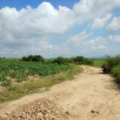 Cần bán gấp đất DT 3  mẫu tại xã Kim Tân , huyện La Pa, tỉnh Gia Lai