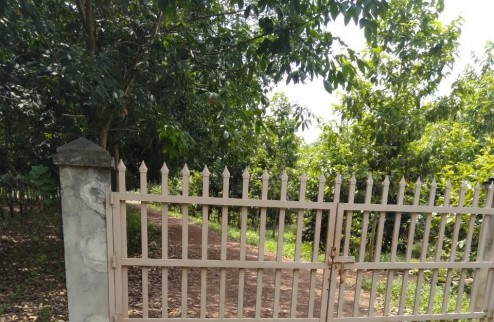 Bán đất vườn tổng DT 18 mẫu  xã đôn thuận - trảng bàng Tây Ninh