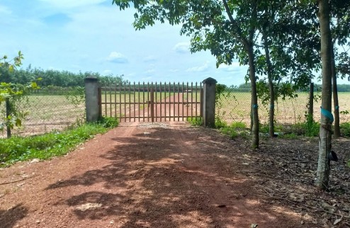 Bán đất vườn 5519  m² huyện ấp Xóm Huế xã Tân An Hội huyện Củ Chi TPHCM