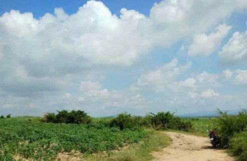 Bán đất Tại Xã Chư Răng- Huyện La Pa- Tỉnh Gia Lai